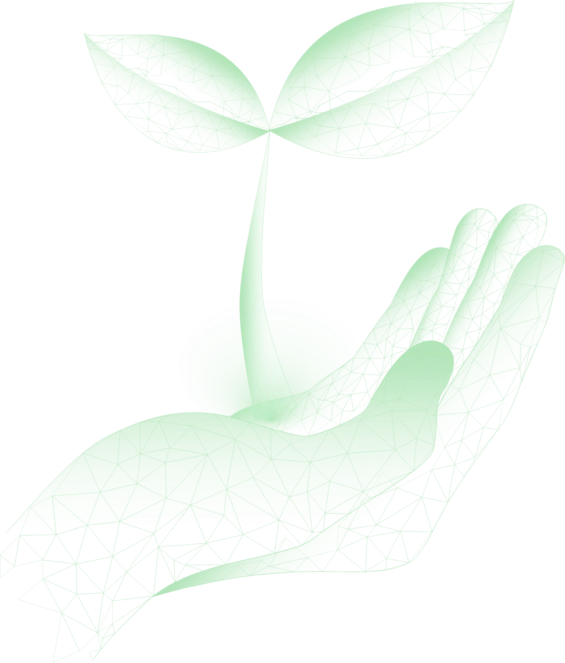 HAND-ARGANACOIN-BLOC-06-scaled-1